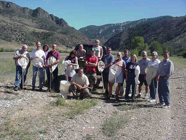 2004 summer class collecting weed eating insects