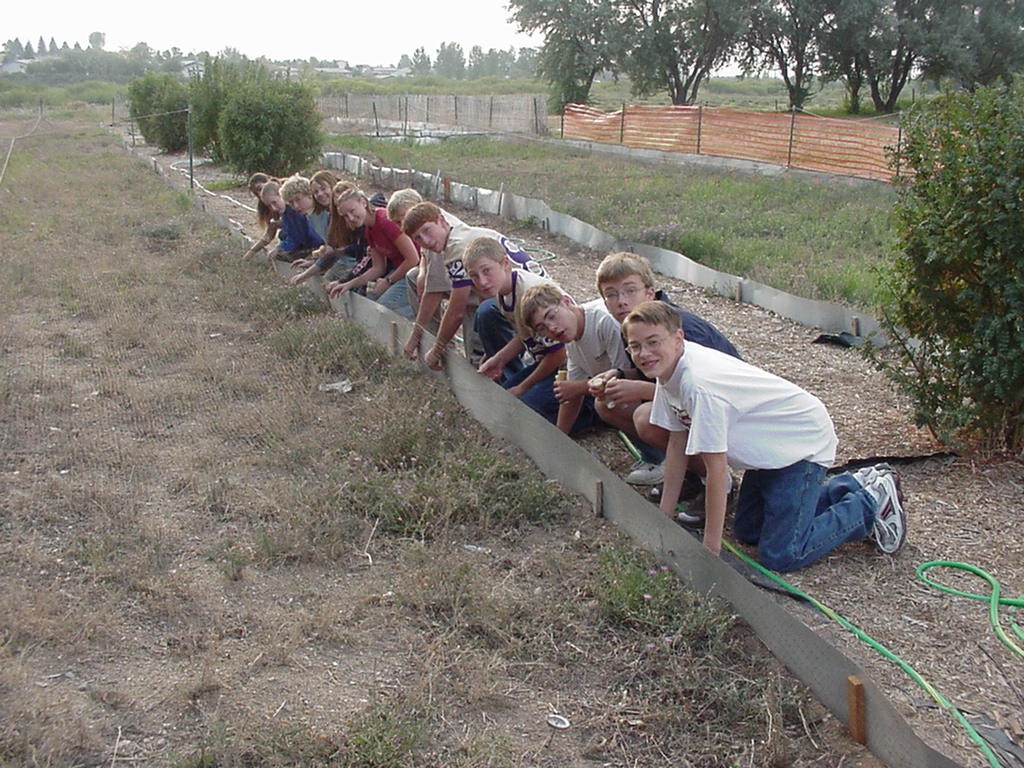 biology students weevil collecting 9-2003