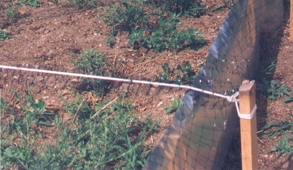 flashing/bird netting closeup